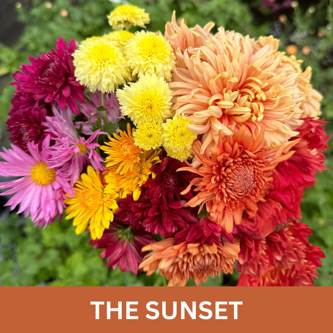 Bouquet of colorful flowers with 'The Sunset' label