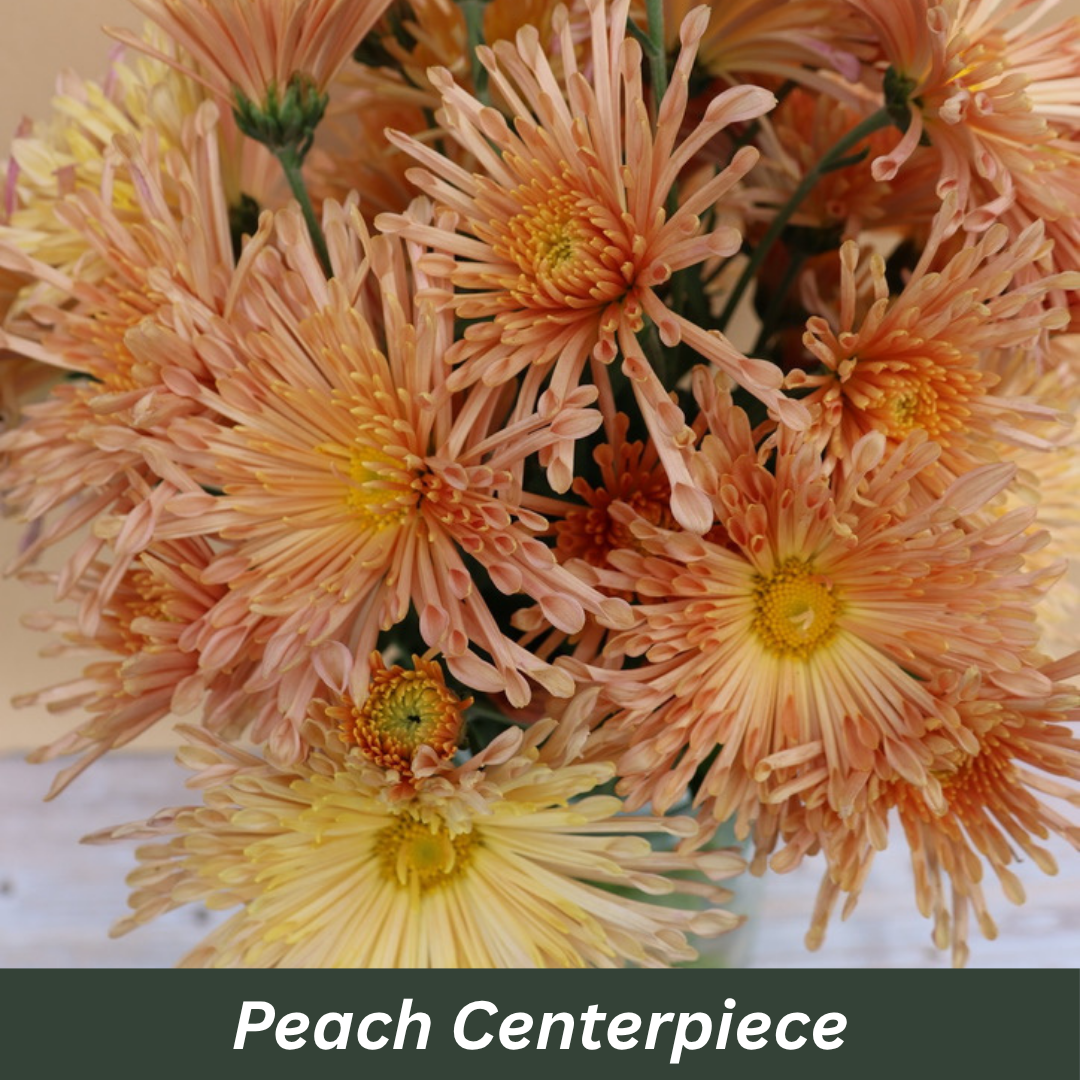 Peach Centerpiece Chrysanthemums