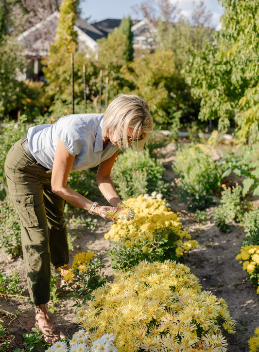 Guess Who’s Been in the News?!