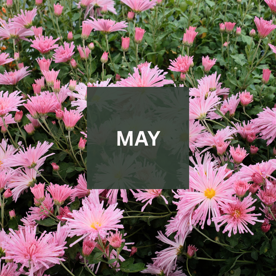 May