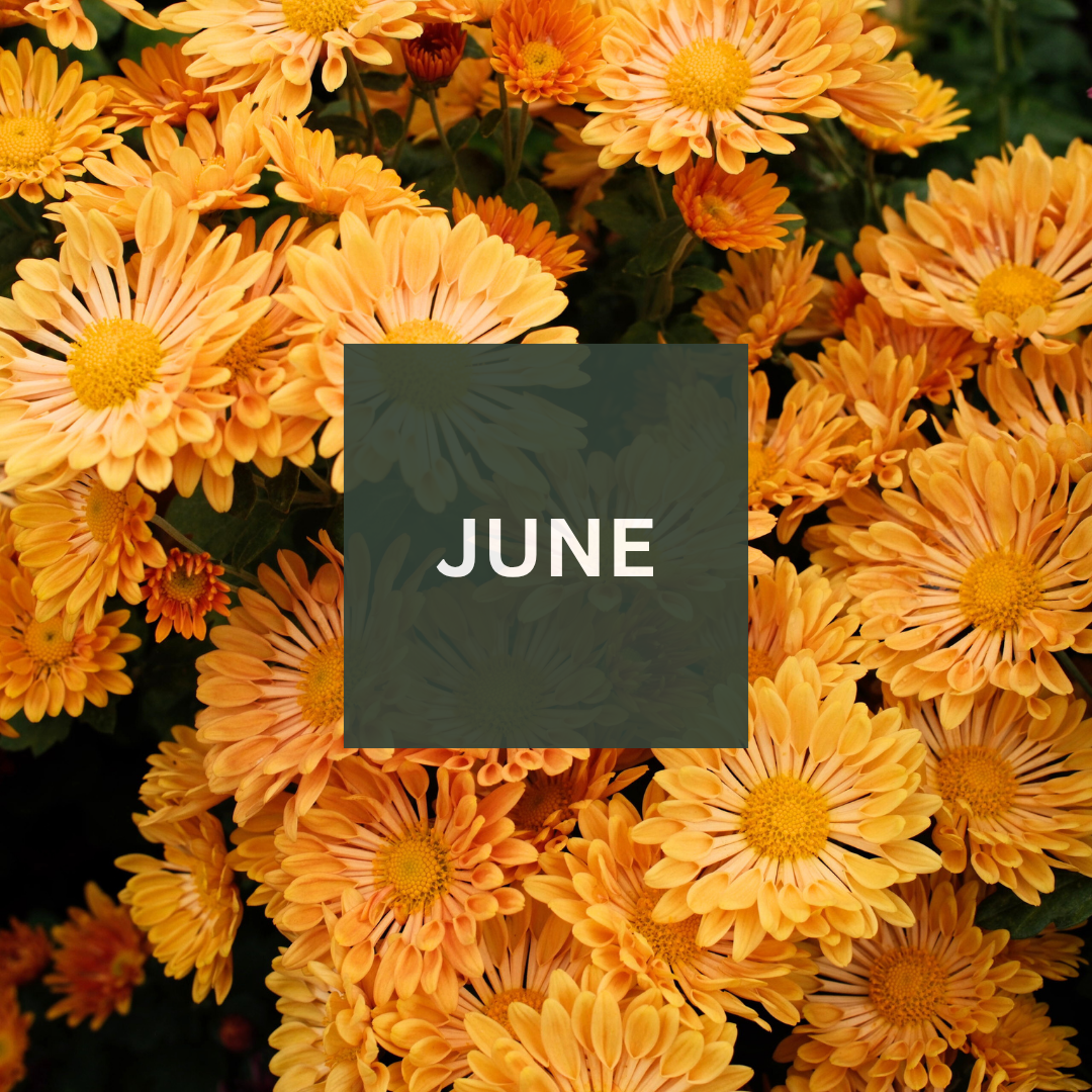 June