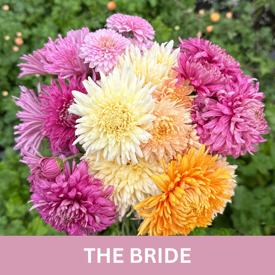 Bouquet of flowers with pink, white, and orange colors on a green background.