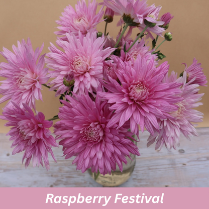 Bouquet of pink flowers in a clear vase on a wooden surface called 'Raspberry Festival'