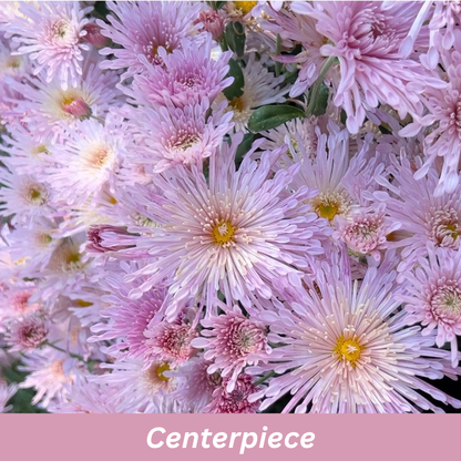 Centerpiece Chrysanthemum